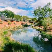 🚗🌵 Red Hills Desert Garden – The Perfect Scenic Stop Between National Parks 🦖🌺