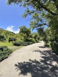 Chill time at Tbilisi botanical garden 