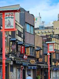 Tokyo: Tradition and Innovation in One Epic City