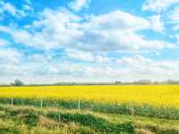 From Steel to Fields: A Train Journey from Birmingham to Norwich