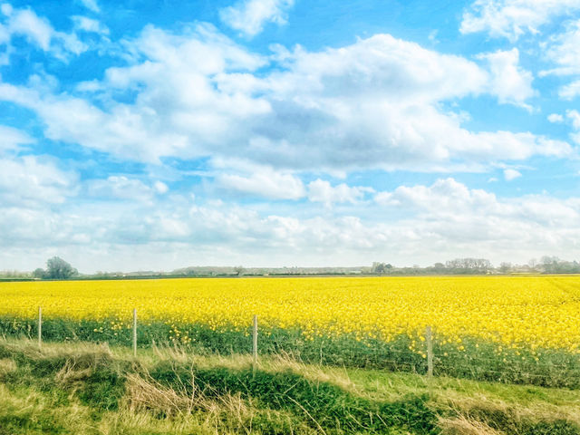 From Steel to Fields: A Train Journey from Birmingham to Norwich