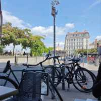 pretty Lyon