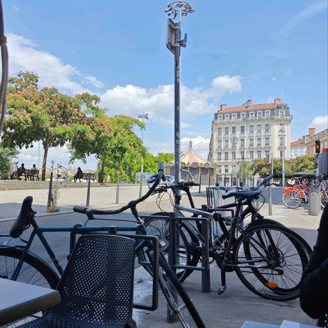 pretty Lyon