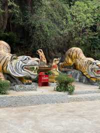 Why Wat Khao Takiap Pagoda Is a Must-See but Beware the Monkeys