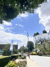 Exploring Museumpark Rotterdam: A Cultural Oasis in the Heart of the City