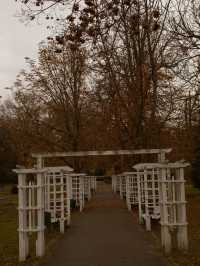 ✈️ Discovering Timișoara: The Cultural Capital of Western Romania