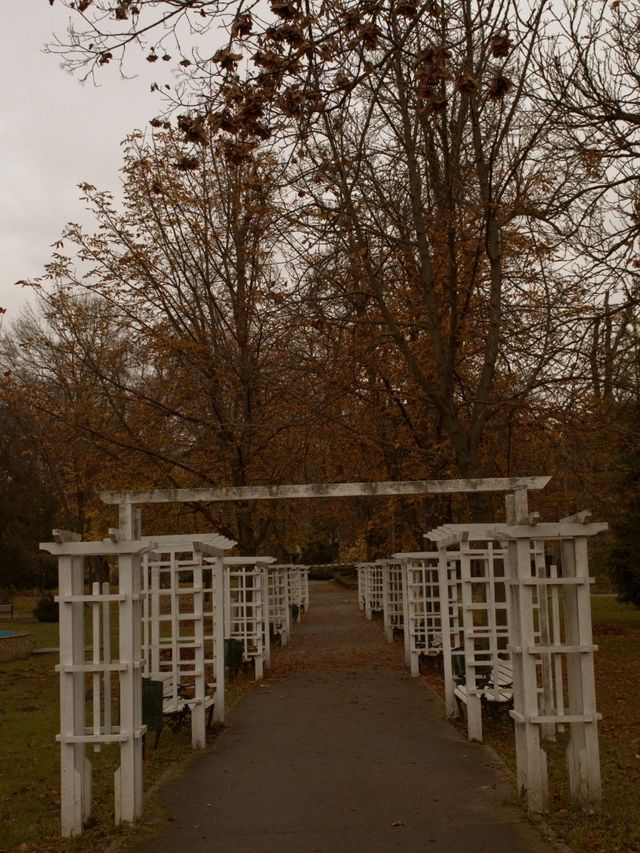 ✈️ Discovering Timișoara: The Cultural Capital of Western Romania