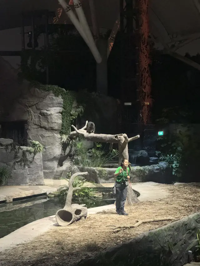 Singapore Night Safari