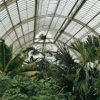 Escape the City: Kew Gardens – London’s Secret World of Green