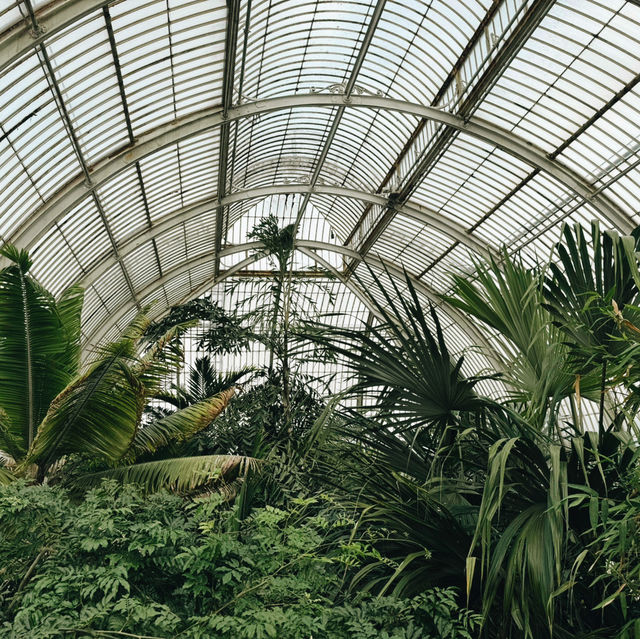Escape the City: Kew Gardens – London’s Secret World of Green