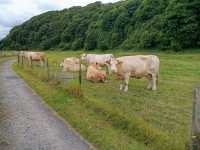 The Laugharne Loop