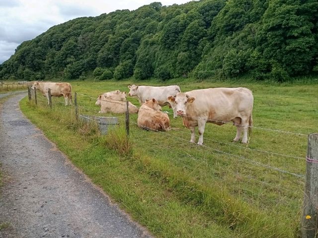 The Laugharne Loop