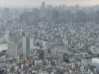Tokyo itinerary for the best blend of city views, fresh eats, and chill urban energy