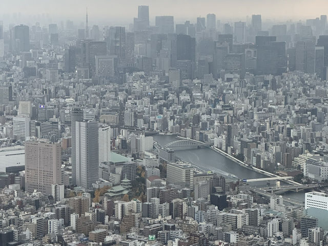 Tokyo itinerary for the best blend of city views, fresh eats, and chill urban energy