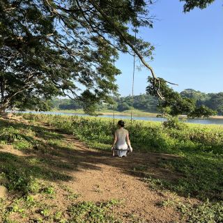 캔디와 마탈레 탐험: 럭셔리, 정글 분위기, 그리고 장엄한 고대 유적이 만나는 곳