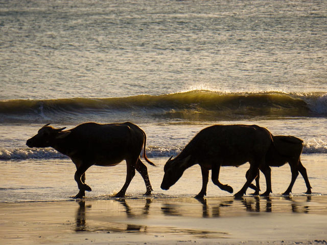 Sunrise Wonders🌞 Sunrise Wonders🌞