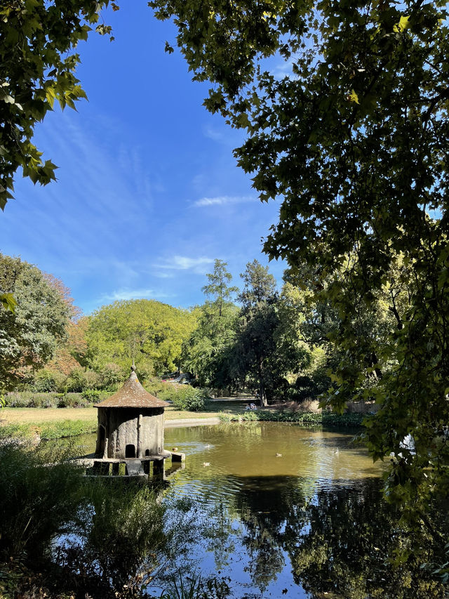 Toulouse River: Garonne’s Charm & Riverside Strolls 🌊🌿✨