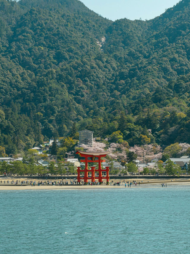 ⛩️ 宮島・厳島神社で体験する幻想的な海上の神域