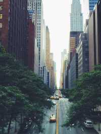 🌃 불빛의 강 위에 선 맨해튼의 맥박 ✨