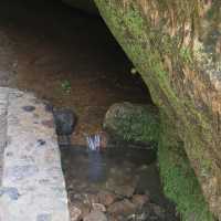 Gauja National Park Gaujas Nacionālais parks