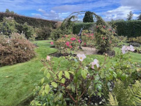 คฤหาสน์ไคล์ซี่