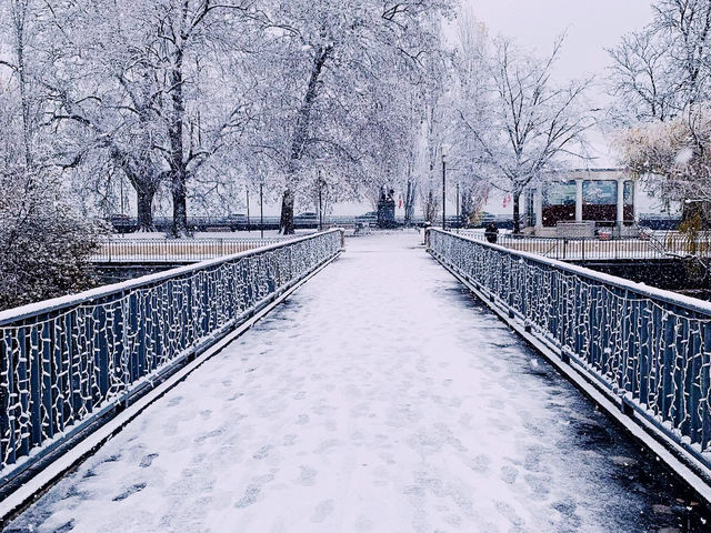 đ¸ Spring Serenity in Geneva: A Short Escape to Switzerlandâs Lakeside Jewel đ¨đ
