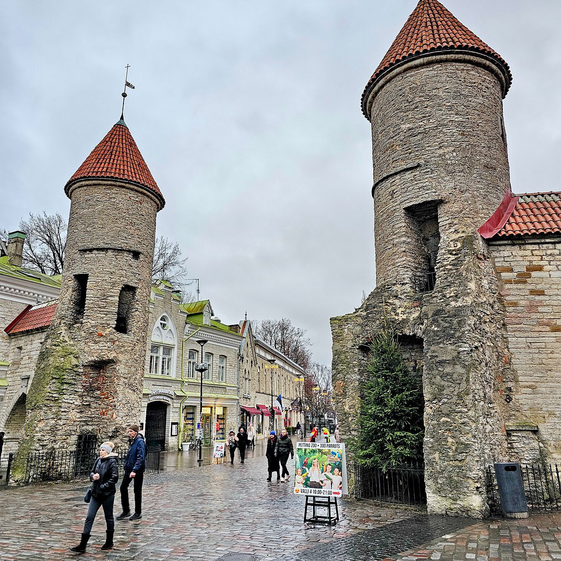Tallinn, Estonia — Europe’s Best-Kept Medieval Secret 🏰✨