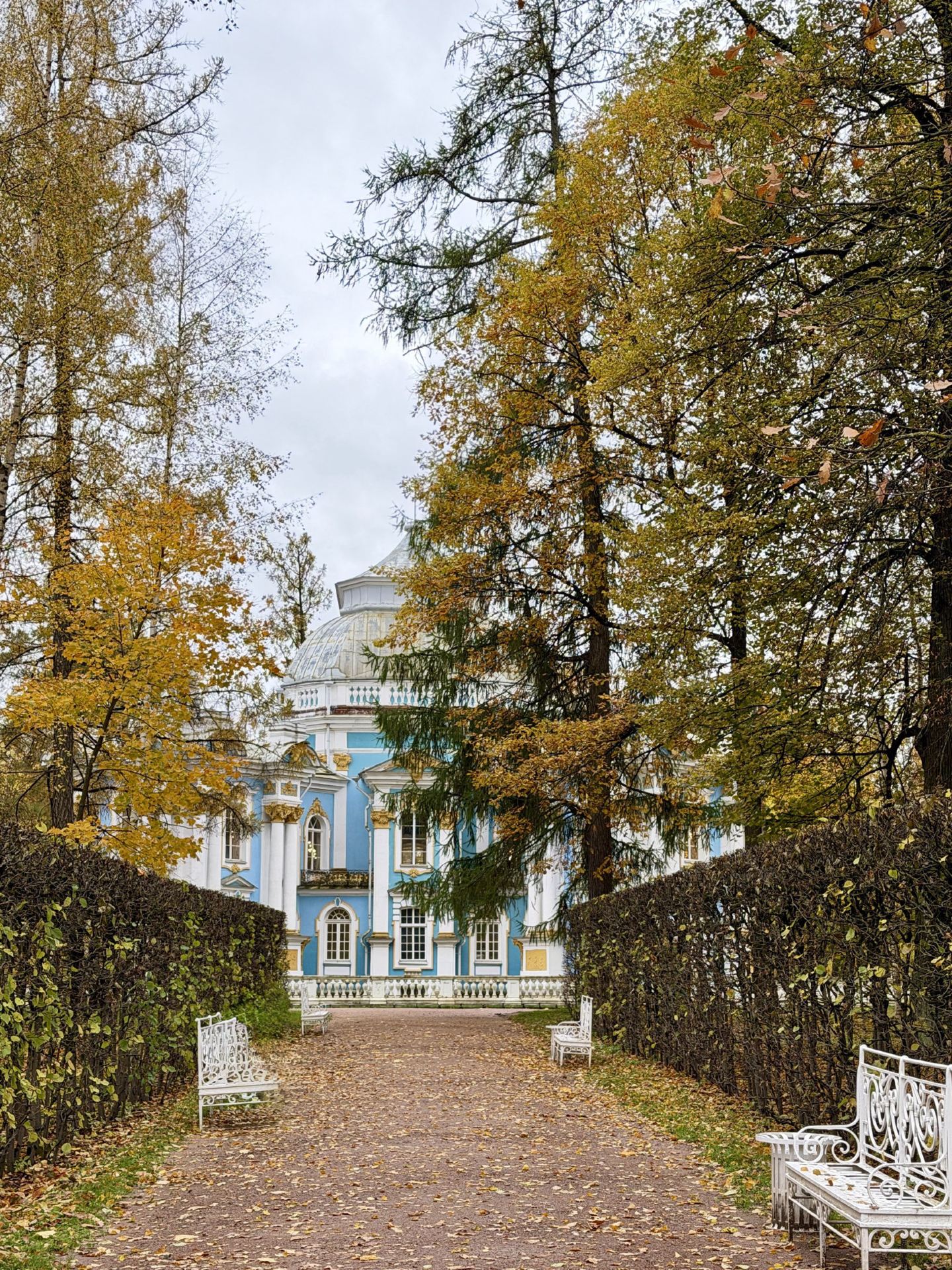 Catherine Park: Beauty Beyond the Weather 🍂