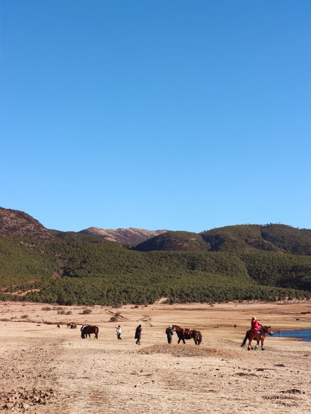 Grasslands near Lijiang, Yunnan🌿🍃