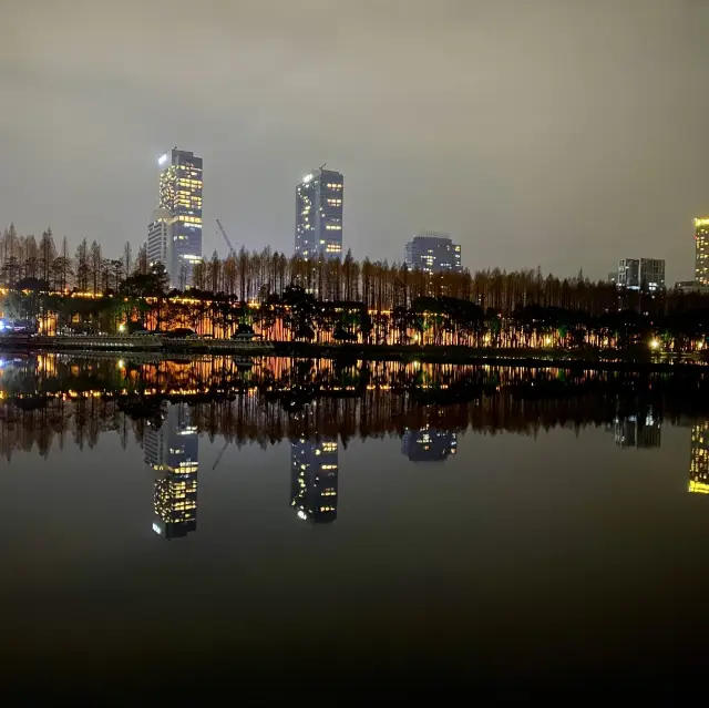 Xuanwu Lake - @ Night View