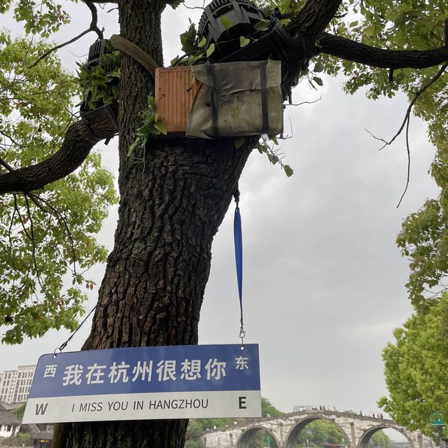 Calming water city, Hangzhou