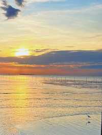 🇹🇭Bangkok Surrounding Attractions - Watch Seagulls at Pak Nam Laem Chabang Beach