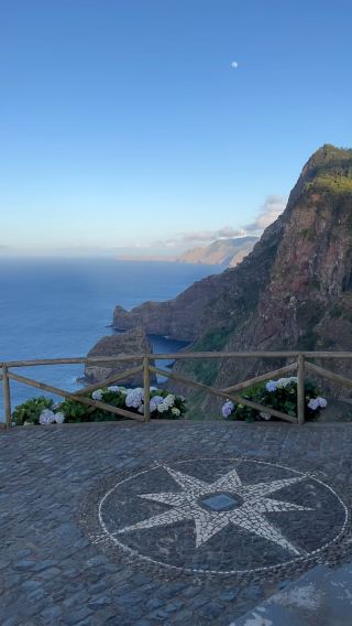 Encounter Rare Wildlife at Rocha do Navio Natural Reserve in Madeira 🦭🌿
