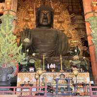 The worlds biggest Bronze Buddha statue