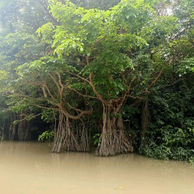 🛶When The Forest Gets Flooded Water 🛶