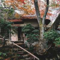 🇯🇵秋遊箱根