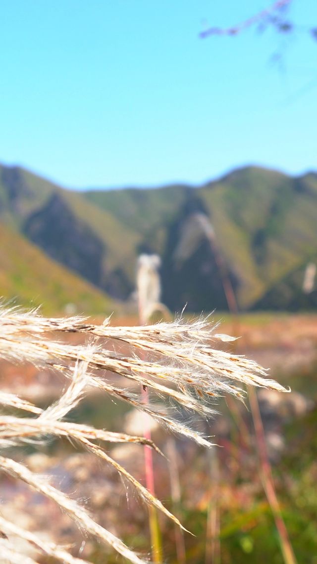天津·薊州 | 寶藏露營地
