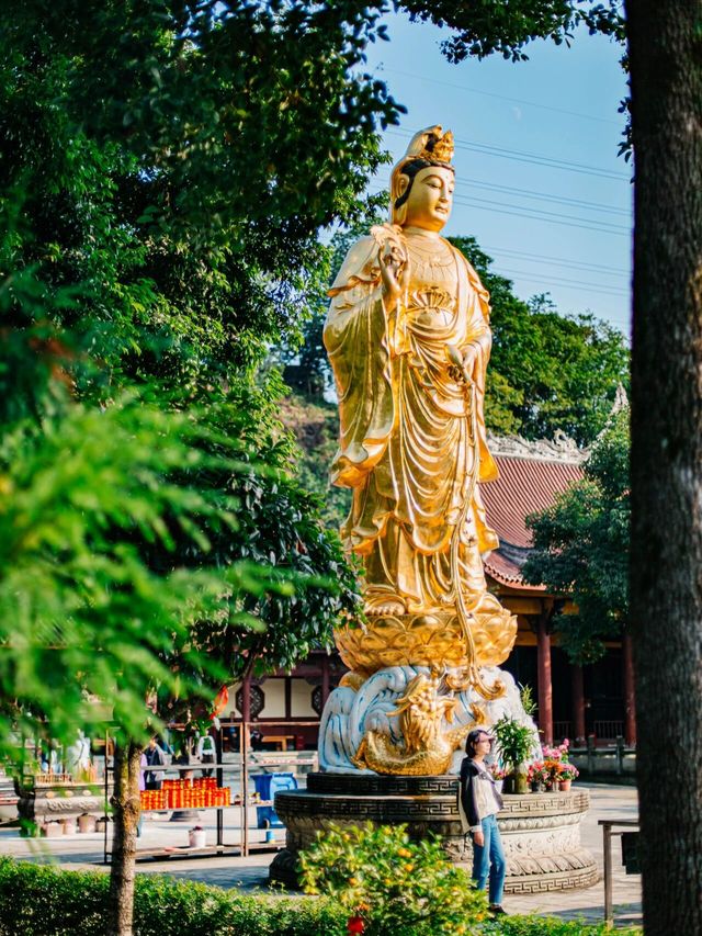 【成都小眾景點探秘】白雲寺，隱於市的祈福勝地！