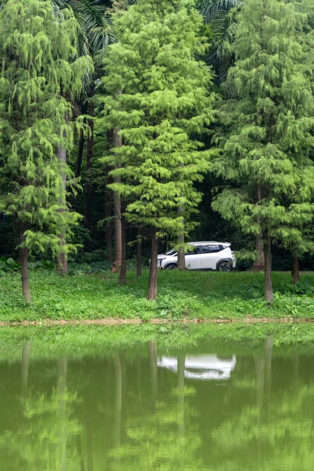 避開人從眾，廣州小眾森林湖畔露營地