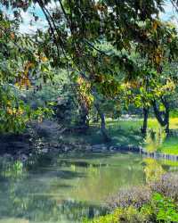 Uncover the Spiritual Essence of Meiji Shrine