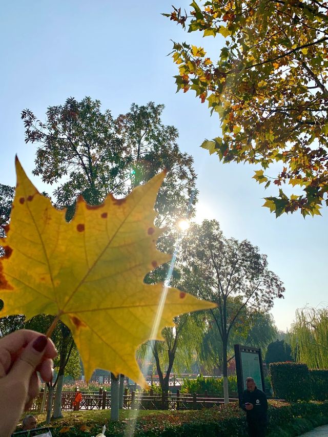 滨江公園你別太美|||