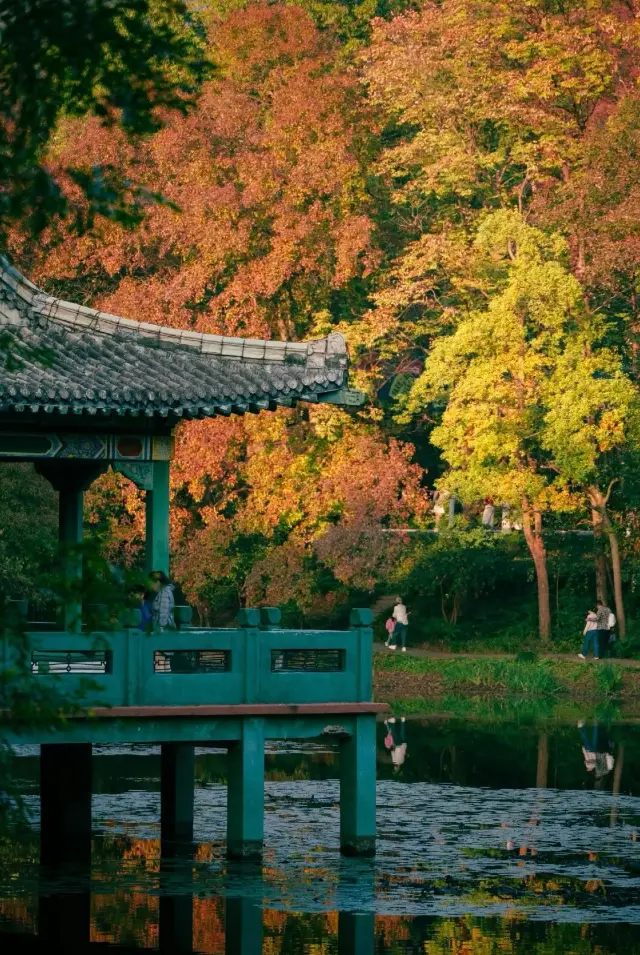 Recommendation for a quiet and less-known spot to enjoy autumn in Nanjing