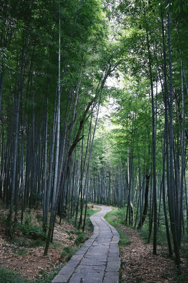 踏秋徒步地圖武漢小眾人少賞秋公園！