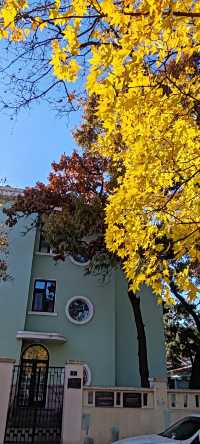 青島八大關異國建築群在色彩斑斕的閃爍下更加奪目迷人