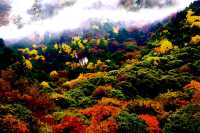 遇見冬日炫烂，遇見多彩涼山