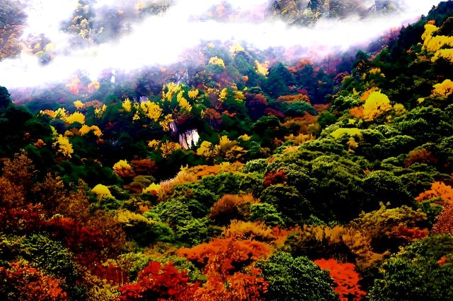遇見冬日炫烂，遇見多彩涼山