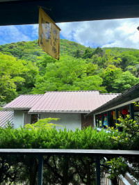 Tenzan Onsen's Forest Retreat