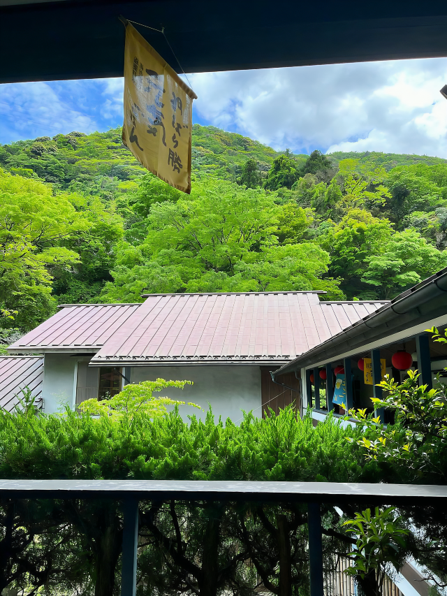 Tenzan Onsen's Forest Retreat