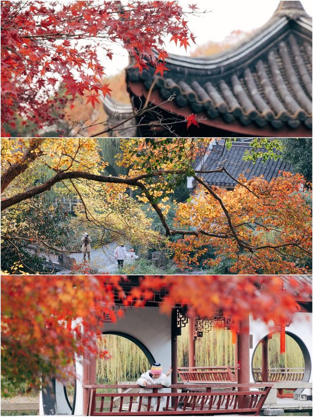 發現上海｜奉賢古華園，這裡的紅葉也很美
