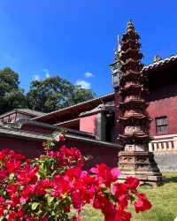 鼓山·涌泉寺丨逛福州神山福州的驕傲